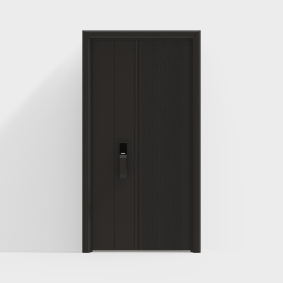 Modern entry door security door