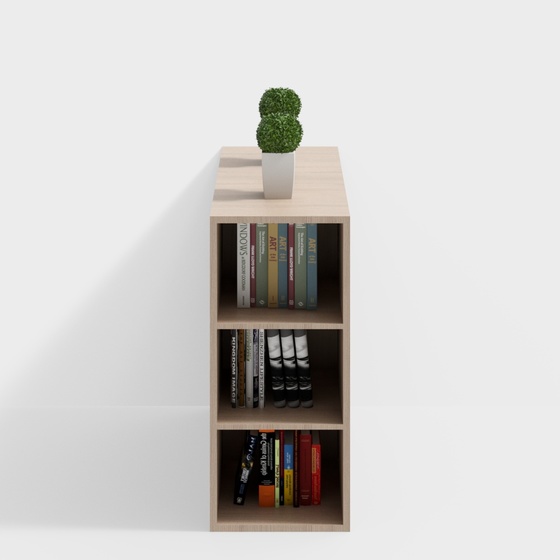 Bookstore small bookshelf