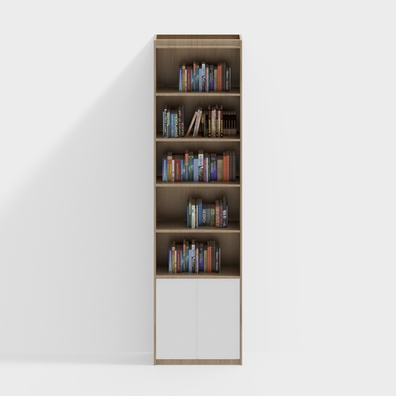 library bookshelf