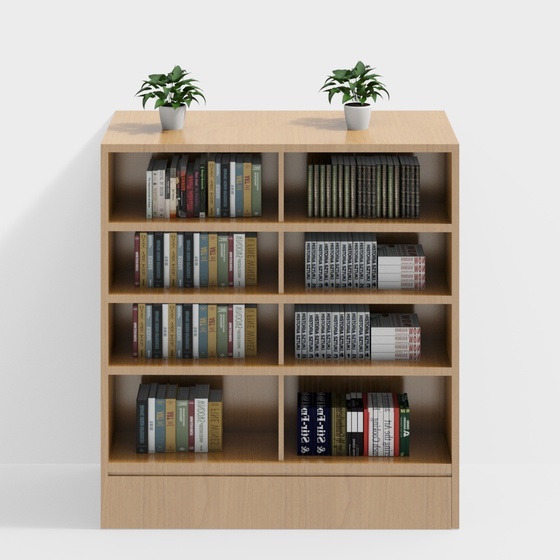Bookstore double-sided low bookshelf