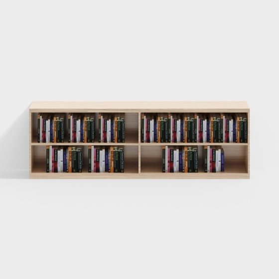 Bookstore double layer low bookshelf