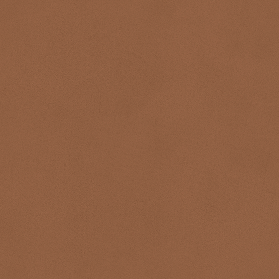 Earth Color Wall Paint 3D Model for Interiors