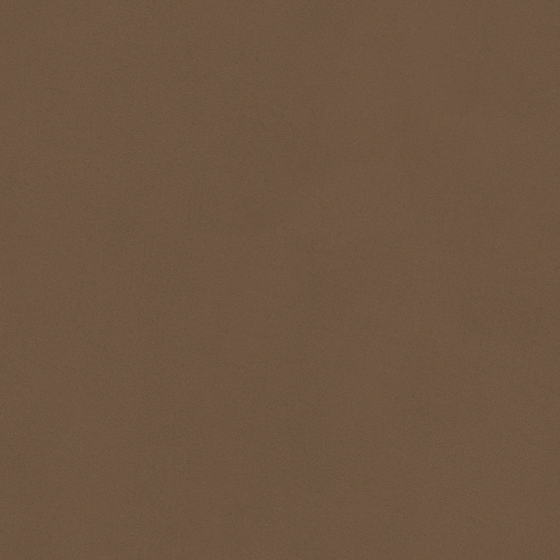 Elegant Brown Wall Paint 3D Model
