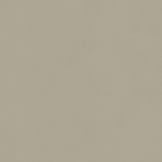 Wall paint/paint