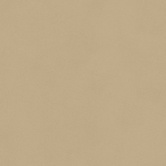 Warm Brown Wall Paint 3D Model for Interior Design