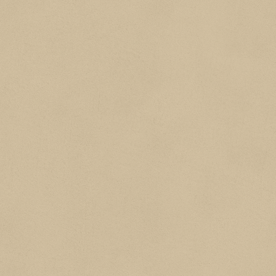 Wall Paint 3D Model in Wood Color