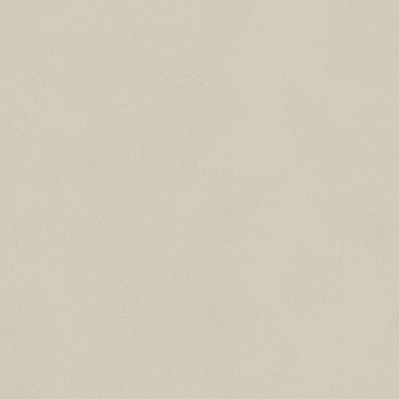 Wall paint/paint