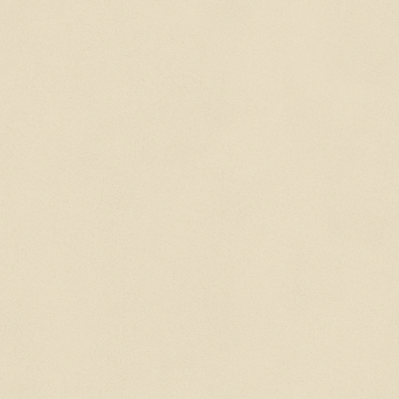 Natural Wood Wall Paint 3D Model