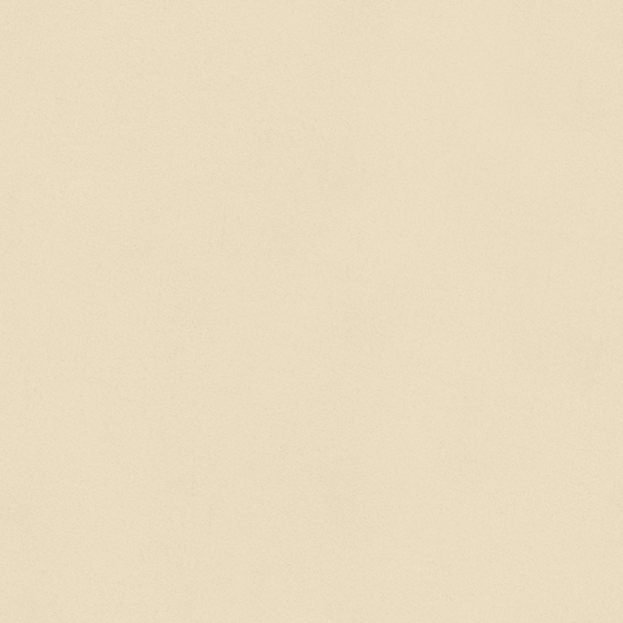 Wall Paint/Paint 3D Model in Wood Color