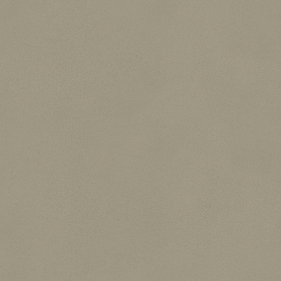 Gray Wall Paint/Paint 3D Model