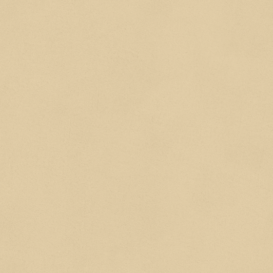 Wall Paint 3D Model in Wood Color