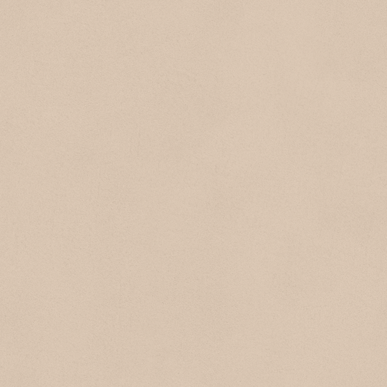 Wood Color Wall Paint 3D Model for Interiors