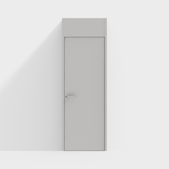 Modern Minimalist Door