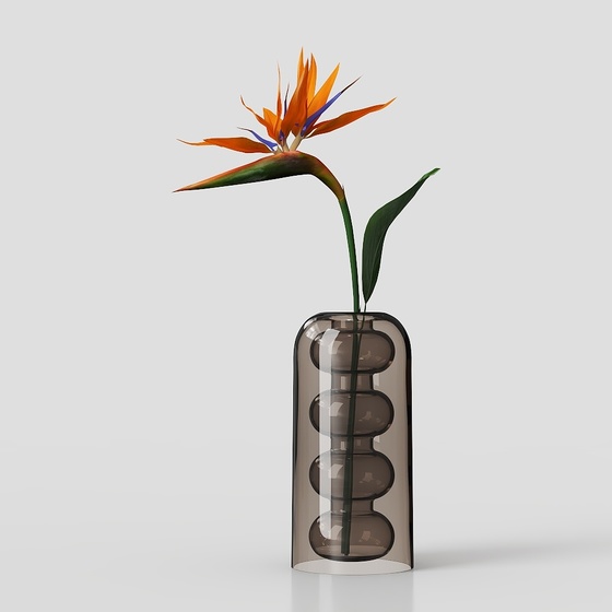 Modern glass vase creative hydroponics decorative ornaments