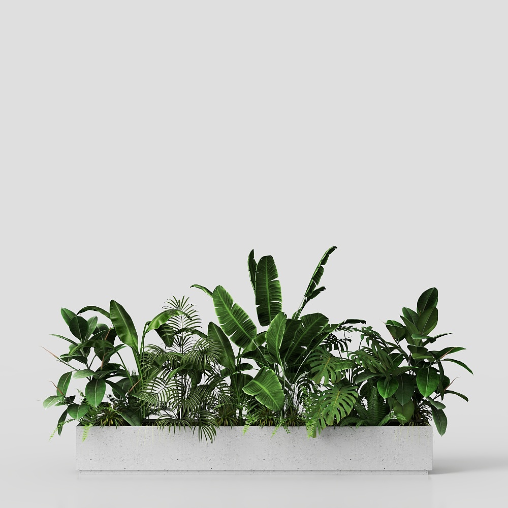 花箱