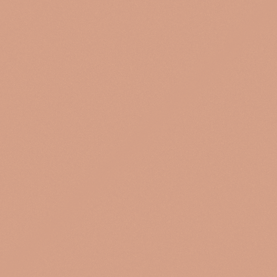Brown Wall Paints/Coatings for Cozy Interiors