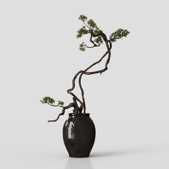 New Chinese style pine bonsai
