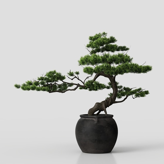New Chinese style pine potted plant