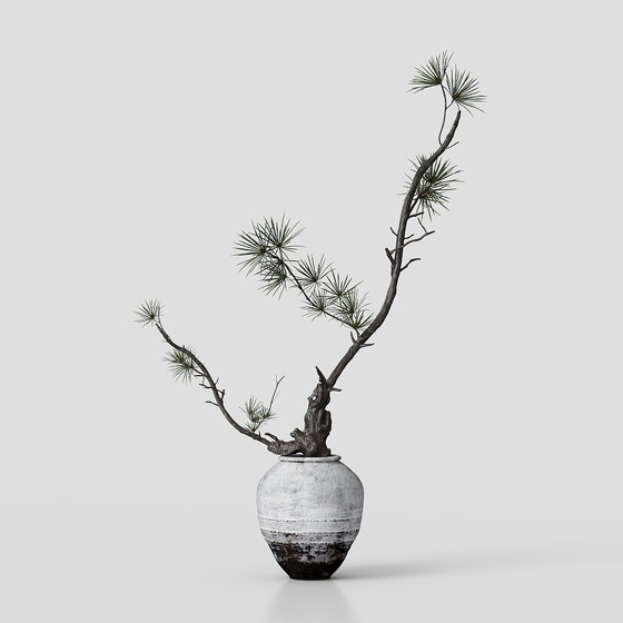 New Chinese Style Pine Bonsai