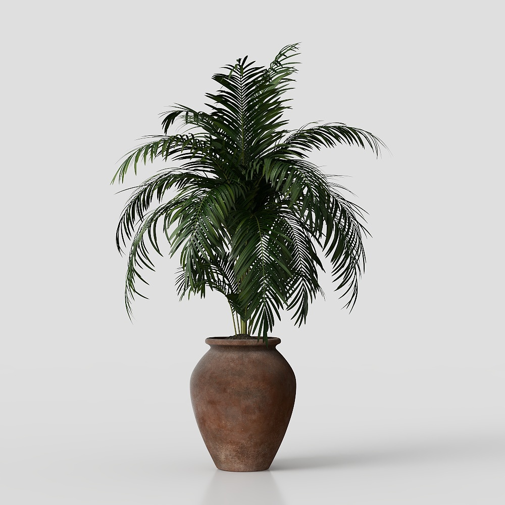 绿植盆栽