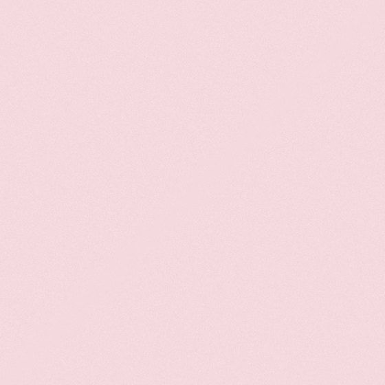 Pink Wall Paint Coating for Modern Interiors