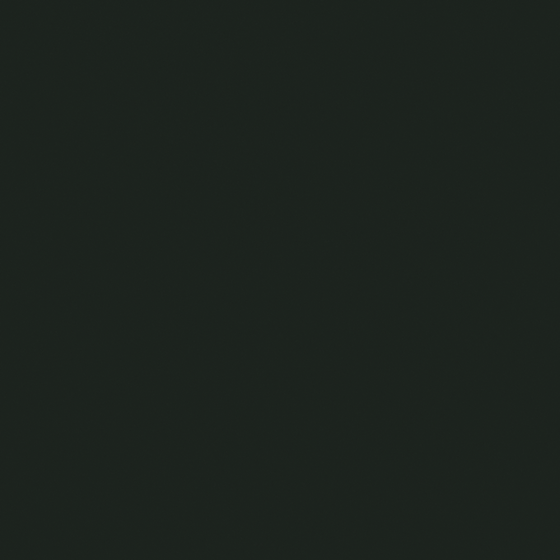 Emulsion paint-matte