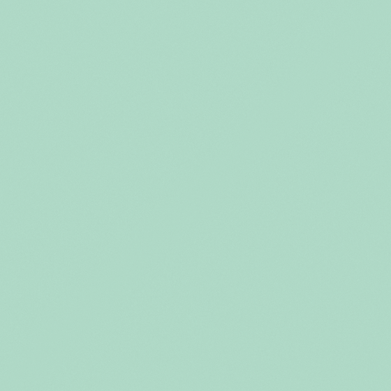 Green Emulsion Paint-Matte 3D Model for Soft Decor