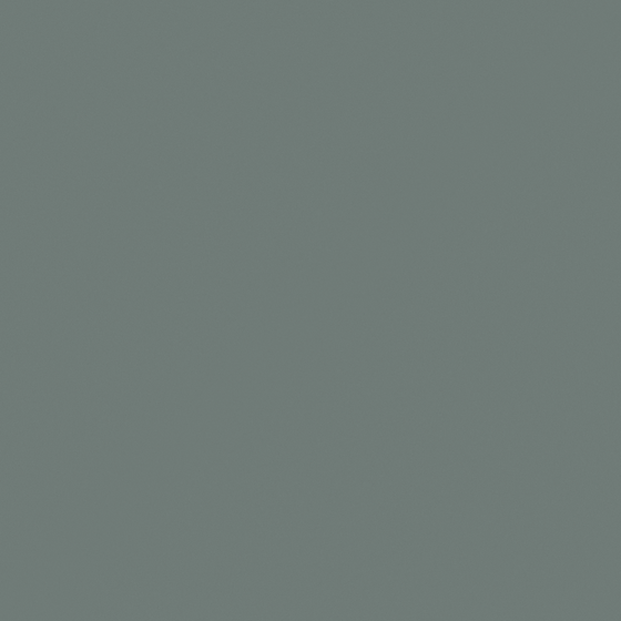 Emulsion Paint Matte 3D Model in Gray