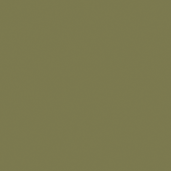 Matte Emulsion Paint 3D Model in Green