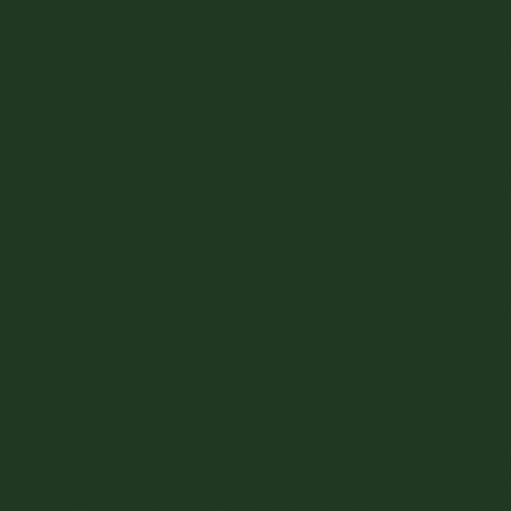 Emulsion Paint-Matte in Green