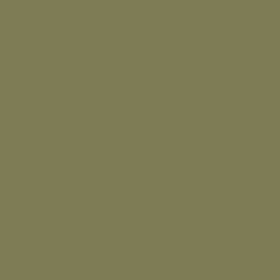 High Gloss Emulsion Paint 3D Model in Green