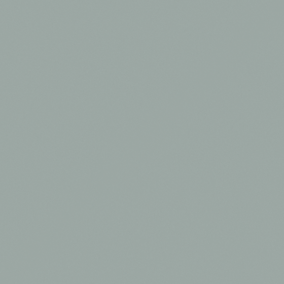 Emulsion Paint High Gloss 3D Model in Gray
