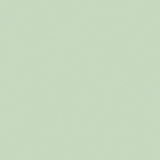 High Gloss Emulsion Paint 3D Model in Green