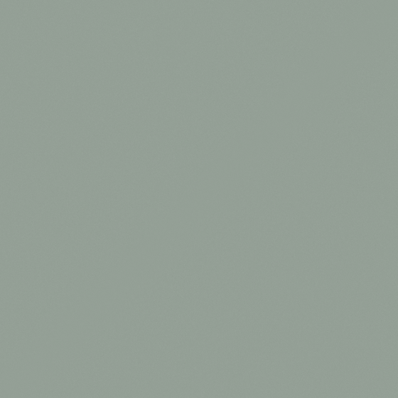 Emulsion Paint High Gloss 3D Model in Gray