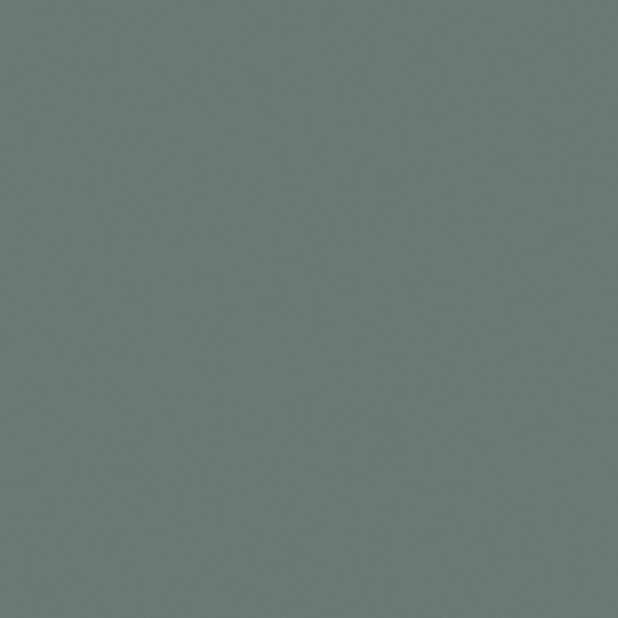 High Gloss Gray Emulsion Paint 3D Model