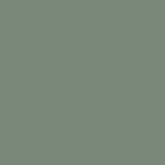 Emulsion Paint High Gloss 3D Model in Brown