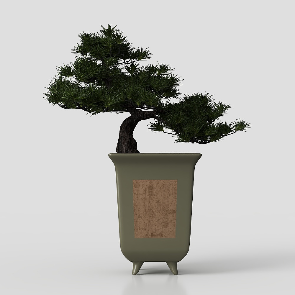 绿植