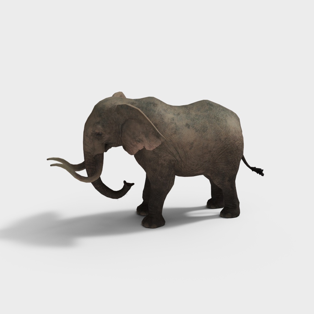 大象3D模型
