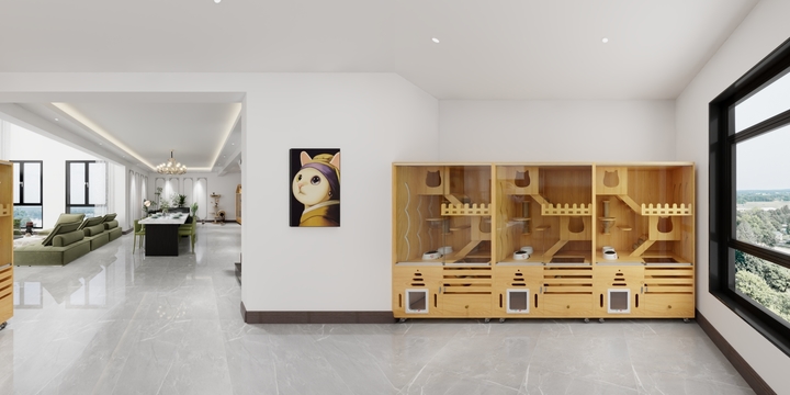 专心干设计的大宝-...别墅效果图-装修设计方案