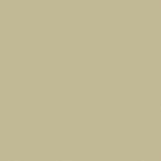 Brown Emulsion Paint-Matte 3D Model