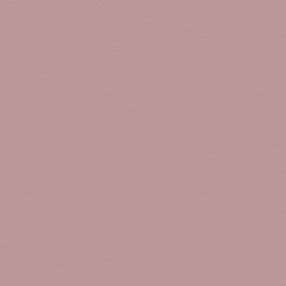 Emulsion Paint High Gloss 3D Model in Gray