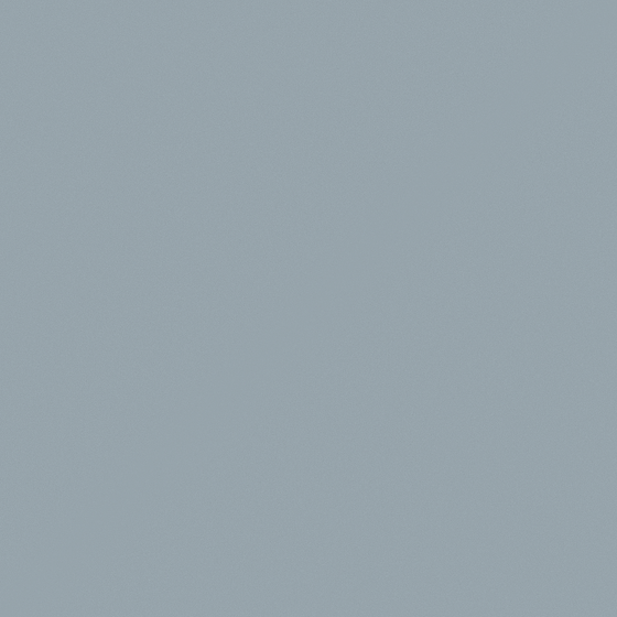 High Gloss Emulsion Paint 3D Model in Gray