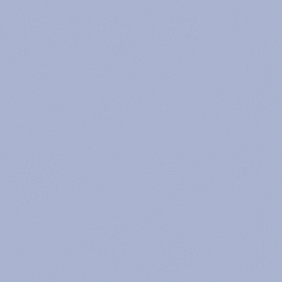 Latex Paint-High Gloss-Brock