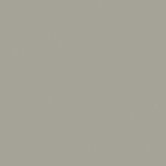 Gray High Gloss Latex Paint 3D Model for Stylish Decor