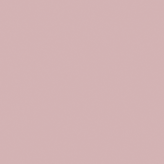Emulsion paint-matte