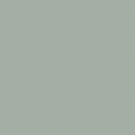 Matte Gray Emulsion Paint 3D Model for Interior Design