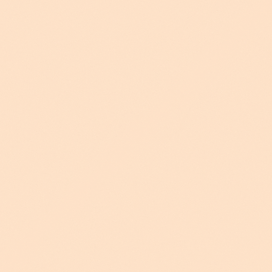 Wood Color Latex Paint-Matte Cherry Orange 3D Model