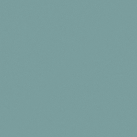 Emulsion Paint - Matte 3D Model in Gray