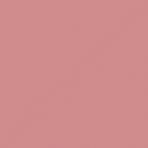Matte Brown Emulsion Paint 3D Model