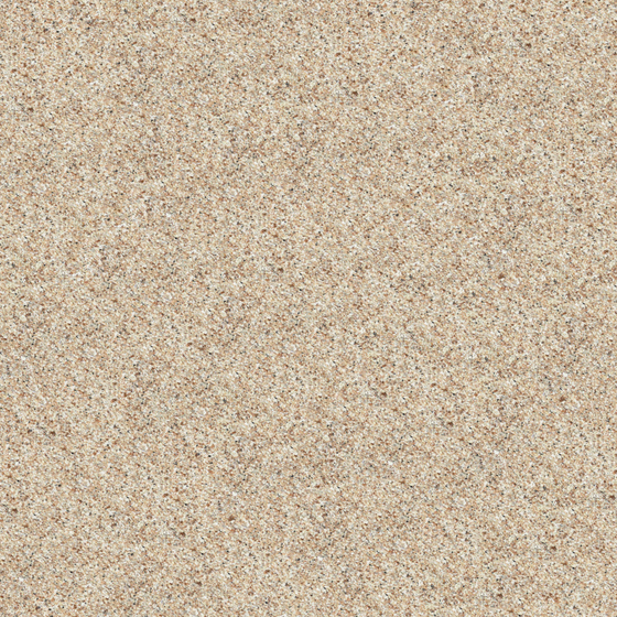 Wood Color Stone Paint 3D Model